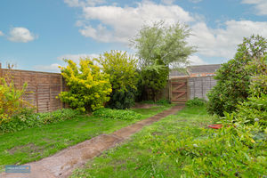 back garden- click for photo gallery